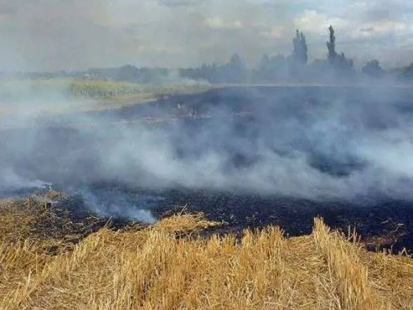 В Тернопольской области в поле обнаружили обгоревшее тело мужчины