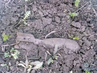 Дети нашли противопихотную мину у дороги в Донецкой области