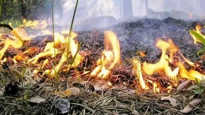 Укгидрометцентр предупреждает о пожарной опасности в некоторых регионах Украины