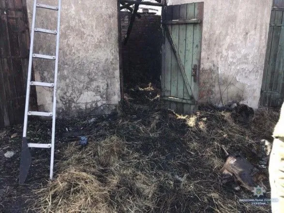 Гралися із сірниками: на Донеччині під час пожежі загинула 6-річна дівчинка
