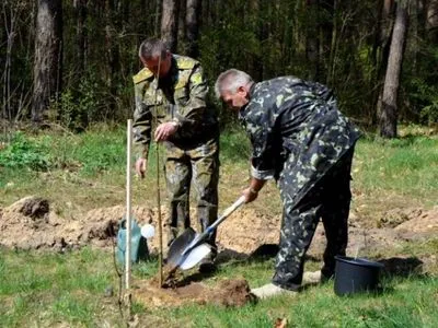Самую длинную липовую аллею в Украине посадили на Львовщине