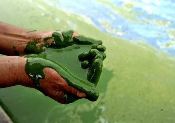 Провалили тест на чистоту: названо 5 найбрудніших водойм Львова