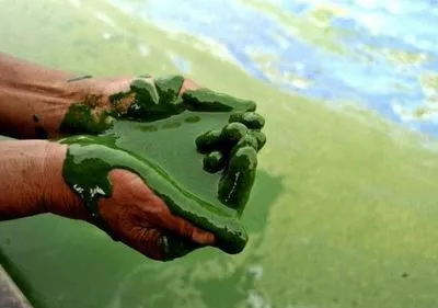 Провалили тест на чистоту: назвали 5 самых грязных водоемов Львова