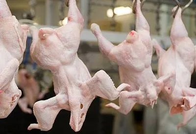 Україна наростила імпорт курятини