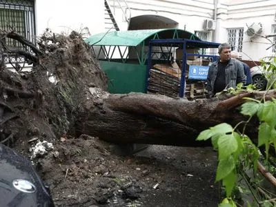 В Москві ураган повалив сотні дерев, загинула дитина