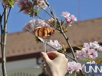 В Ужгороде открыли сакуровый фестиваль вина