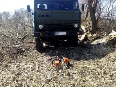 ДПСУ: На Сумщині прикордонники завадили незаконній вирубці лісу