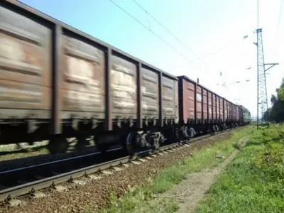Группа нелегалов пыталась попасть в Россию грузовым поездом