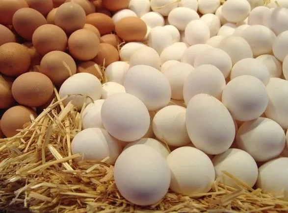 Украина стала лидером по экспорту яиц в ЕС