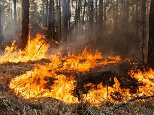 В Україні очікується найвищий рівень пожежонебезпеки