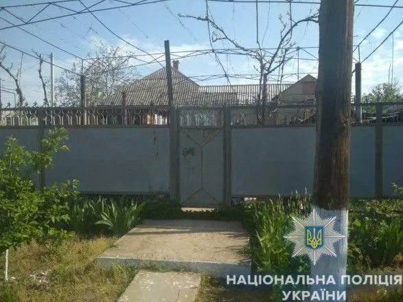На Одещині пенсіонер лякаючи котів, обстріляв будинок сусіда
