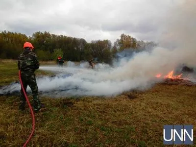 Село у зоні ризику: на Житомирщині вчились ліквідовувати лісову пожежу