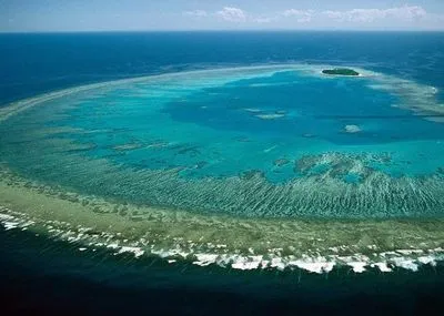 Австралия выделит 500 млн долларов на защиту Большого барьерного рифа