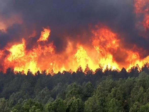 Українців попереджають про надзвичайну пожежну небезпеку