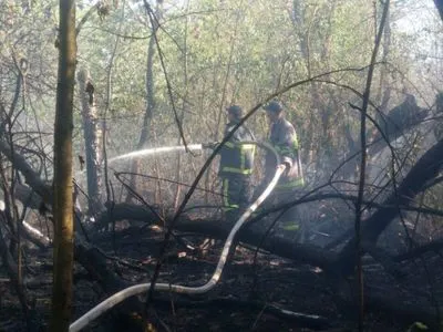 ГСЧС: пожар на Трухановом острове ликвидирован