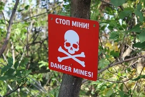 Об’єднані сили переглянуть схеми мінних полів на Донбасі