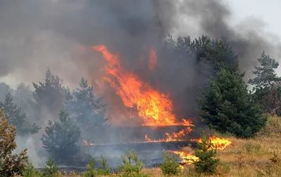 Лесные пожары: выписали всего 5 тыс. грн штрафов