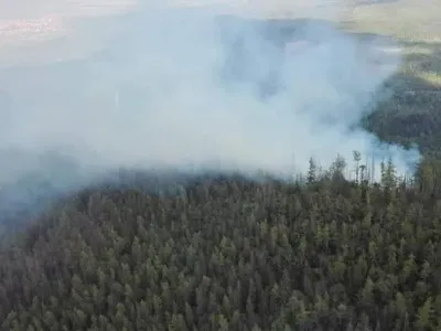 В словацких Татрах из-за лесного пожара эвакуируют туристов