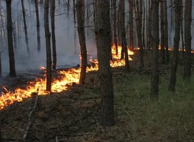 ДСНС: загрози перекидання лісової пожежі на населені пункти Чернігівщини немає