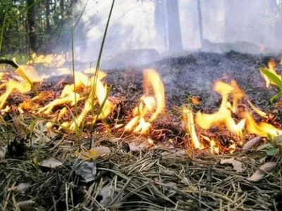 Близько 10 га лісової підстилки горить на Чернігівщині
