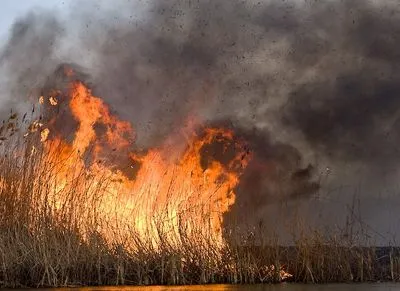 Возгорание травы под Балаклеей военным складам не угрожает - источник