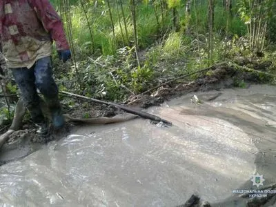 Две группы копателей янтаря задержали в Житомирской области