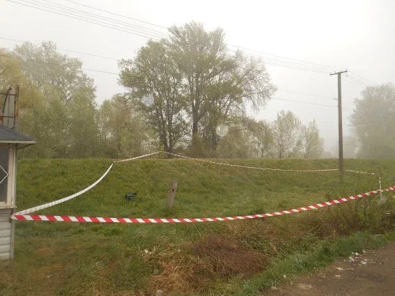 Трое несовершеннолетних взорвали дерево в парке Мелитополя