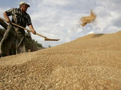 Експорт зернових скоротився майже на 8%