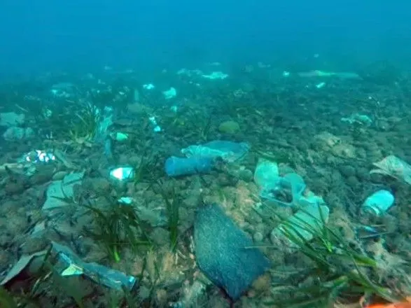 Появилось видео, как морская черепаха плавает среди мусора