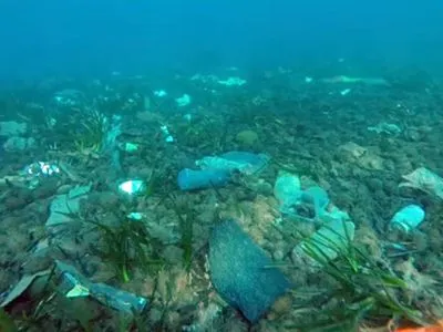 Появилось видео, как морская черепаха плавает среди мусора