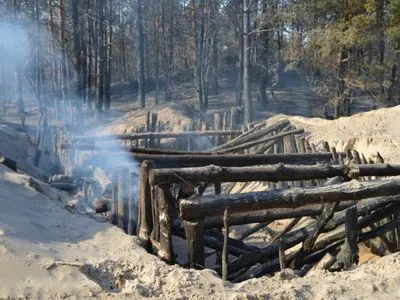 Лісову пожежу на Чернігівщині ліквідували за півтори доби