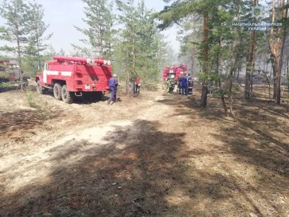 У Луганській області загорівся ліс