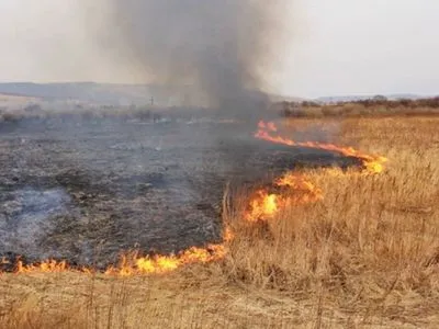 Самый высокий уровень пожарной опасности удерживается в Украине