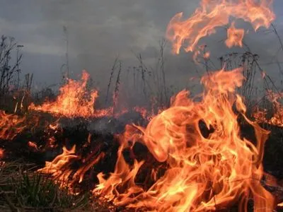 В Украине на выходных сохранится чрезвычайная пожарная опасность