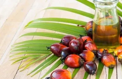 Рада планирует запретить использование пальмового масла в пищевых продуктах