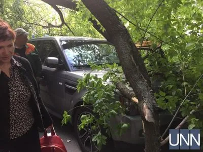 В центре Киева на авто упало дерево, затруднено движение