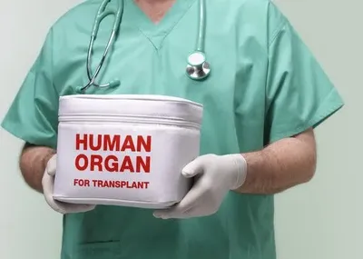 В Раде объяснили, как будет происходить трансплантация органов в Украине