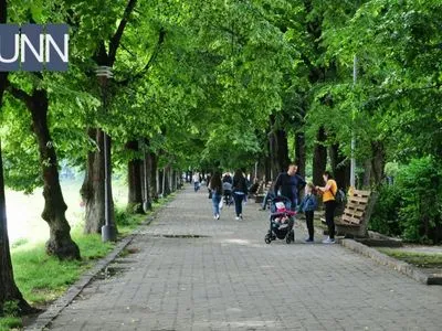 Найдовша липова алея Європи розквітла в Ужгороді, не дочекавшись липня