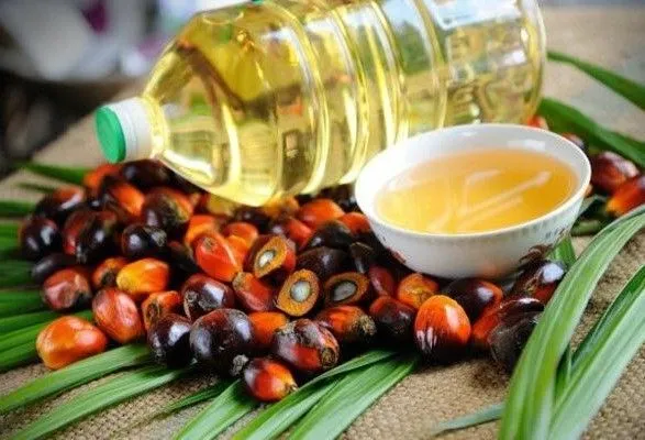 Украина продолжает наращивать темпы импорта пальмового масла