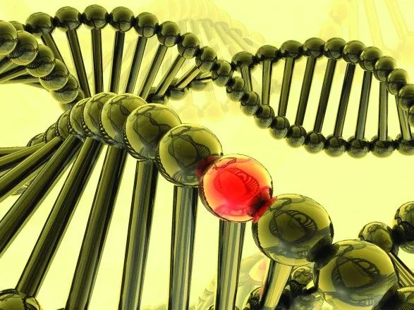 Ученые обнаружили гены, отвечающие за пристрастие к алкоголю
