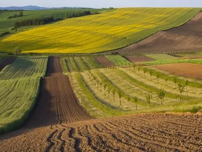 Рада планує спростити українцям доступ до сільськогосподарських земель