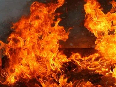 Пожар на свалке под Николаевом: стала известна причина