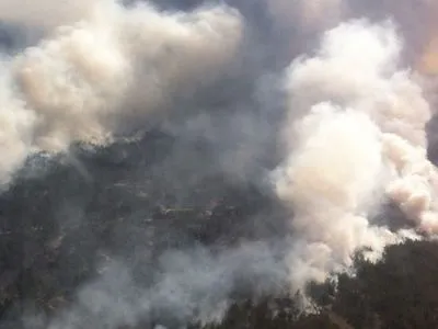 В Херсонской области горит около 50 га леса: к тушению привлекли авиацию