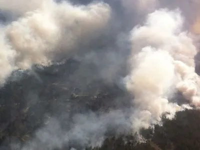 На Херсонщині ліквідовують лісову пожежу: залучено понад 300 рятувальників