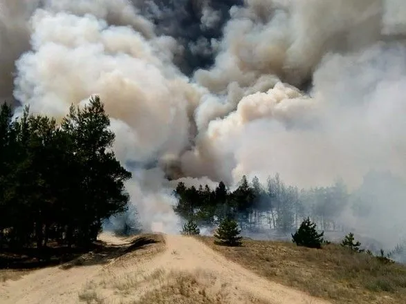 К ликвидации лесного пожара в Херсонской области привлекли уже почти 300 спасателей