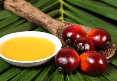 Полный запрет пальмового масла в продуктах чреват увеличением количества фальсификата
