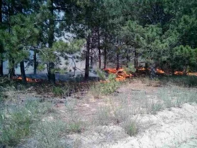 Лесной пожар в Херсонской области: продолжается тушение отдельных очагов