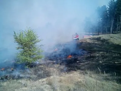 Гослесагентство: причиной пожара в Херсонской области считают поджоги