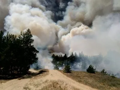 Лесной пожар в Херсонской области до сих пор тушат