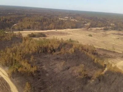 Лесной пожар в Херсонской области: признаков горения не наблюдается